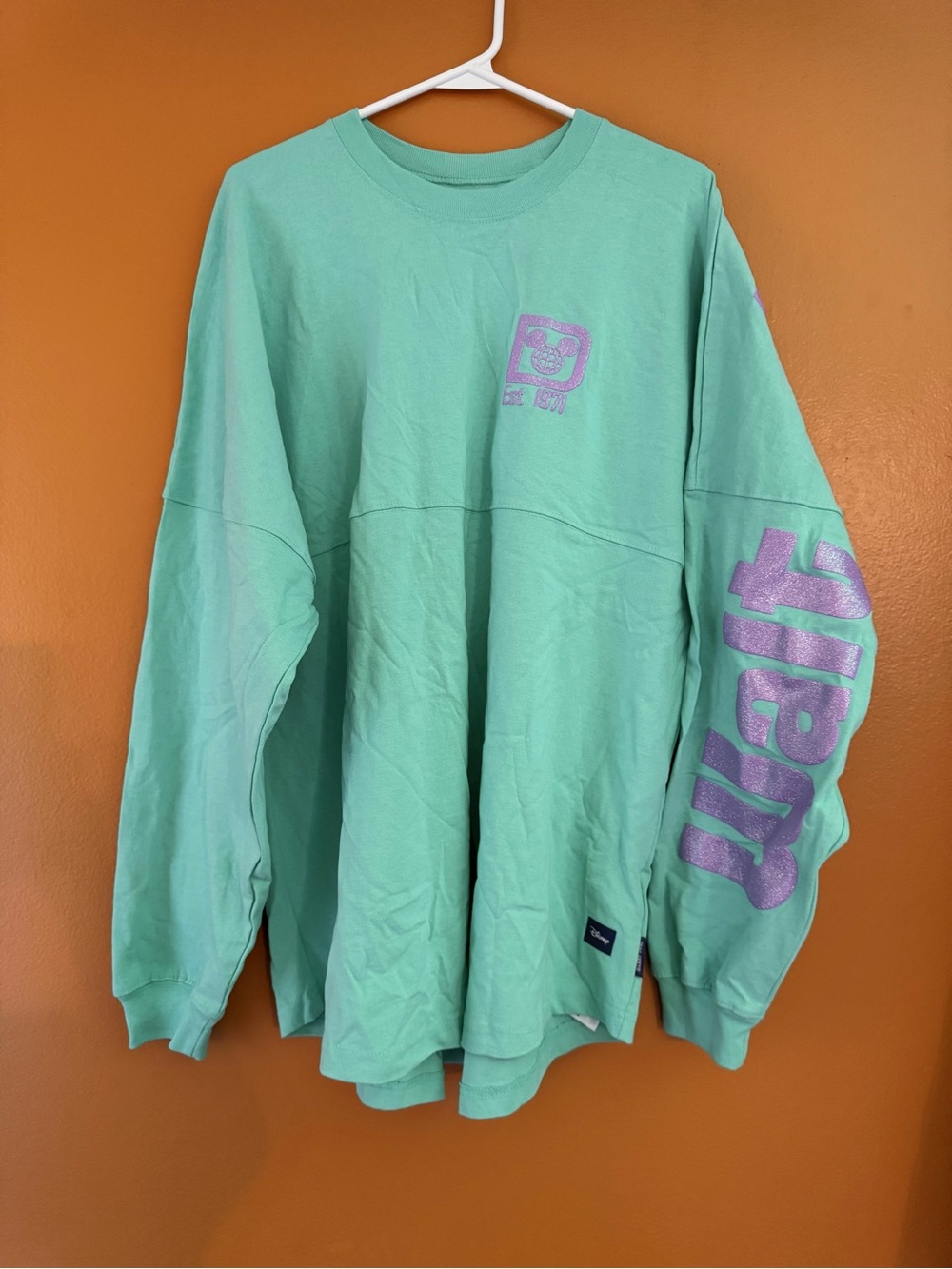 Disney Mint Green Long Sleeve Tee with Lavender Sleeve Script